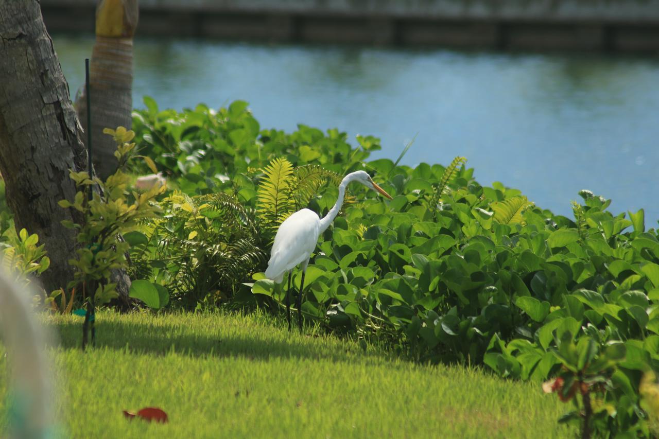 The Sandpiper Inn Crossing Rocks Luaran gambar